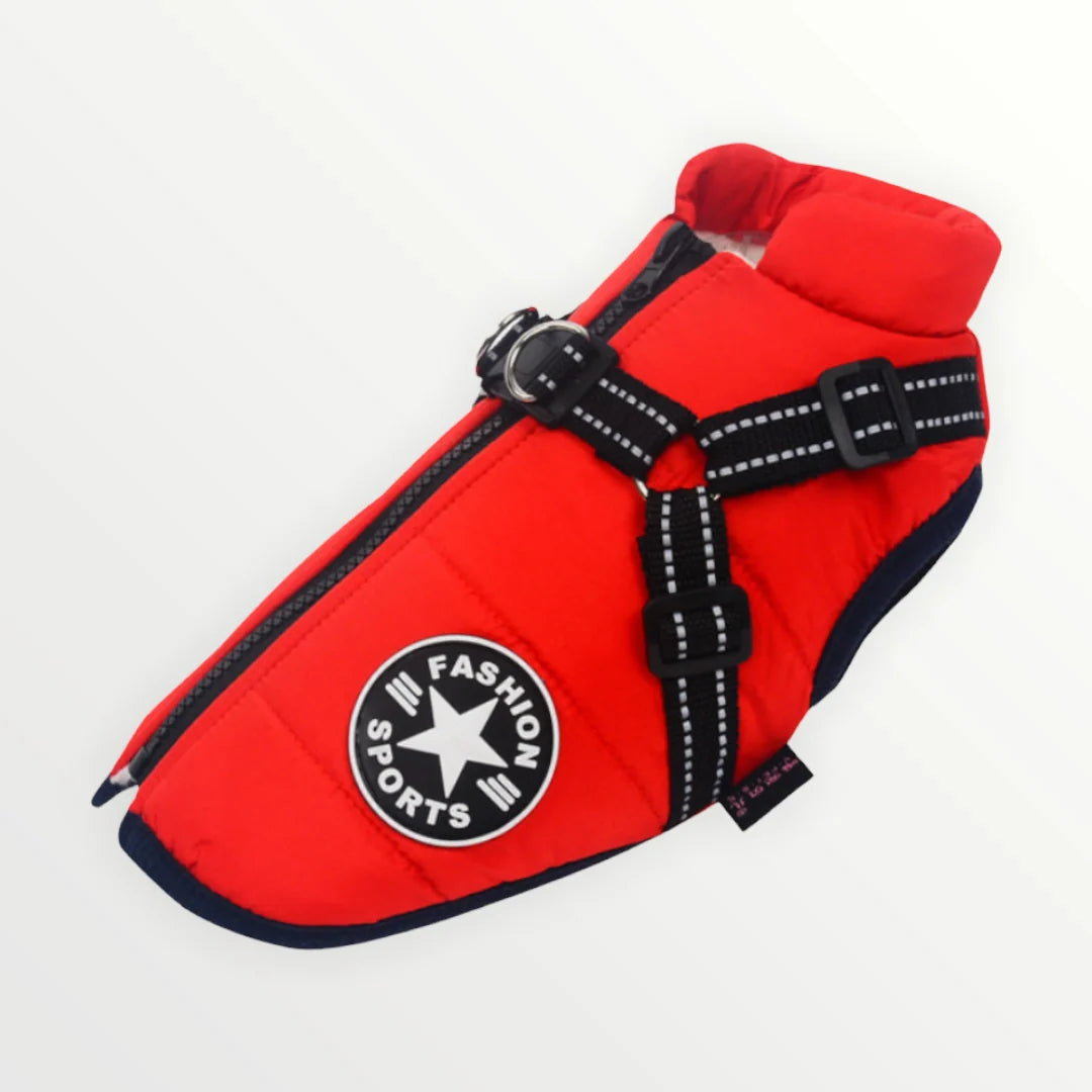 Dog Coat Water-Resistant Integrated Harness Reflective Details