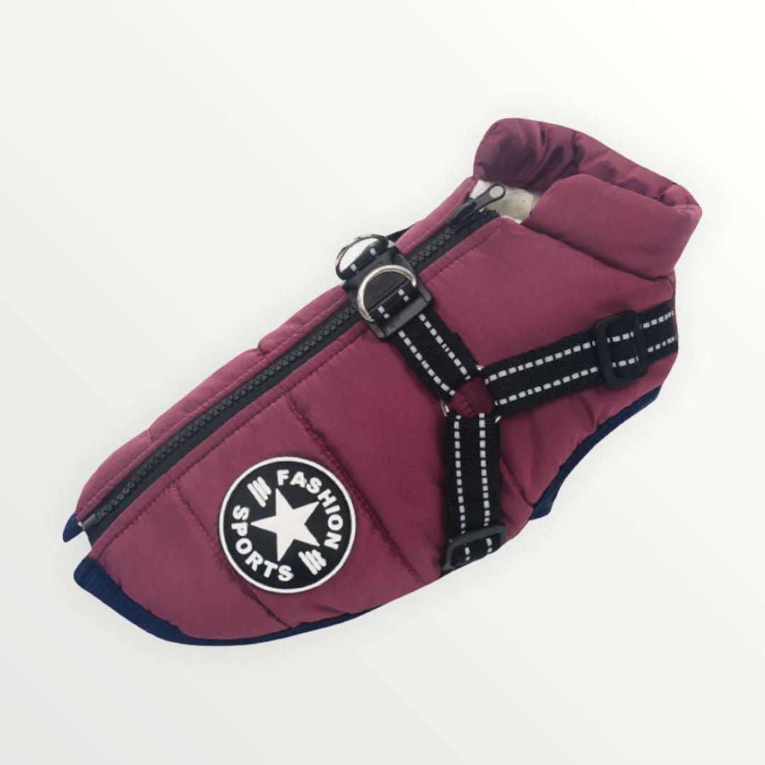Dog Coat Water-Resistant Integrated Harness Reflective Details