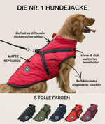 Dog Coat Water-Resistant Integrated Harness Reflective Details