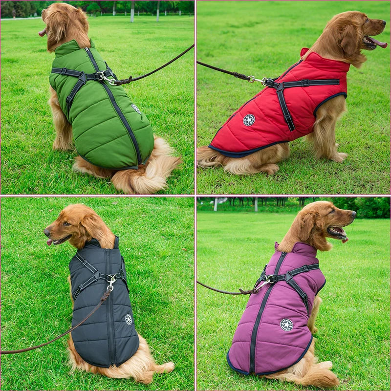 Dog Coat Water-Resistant Integrated Harness Reflective Details