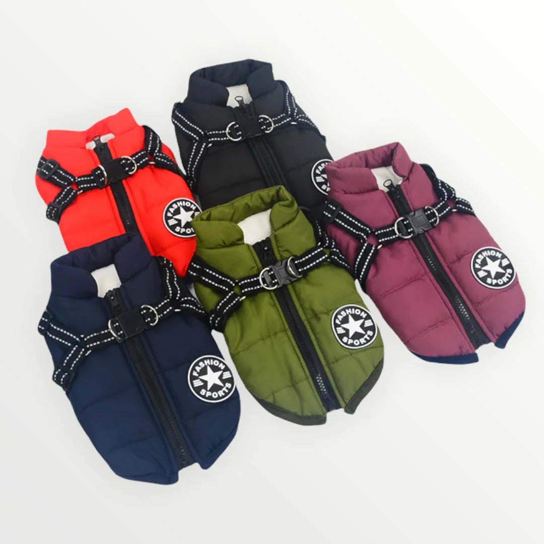 Dog Coat Water-Resistant Integrated Harness Reflective Details