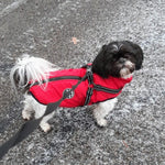 Dog Coat Water-Resistant Integrated Harness Reflective Details