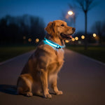 Dog Collar 360° LED Reflective Adjustable Nylon