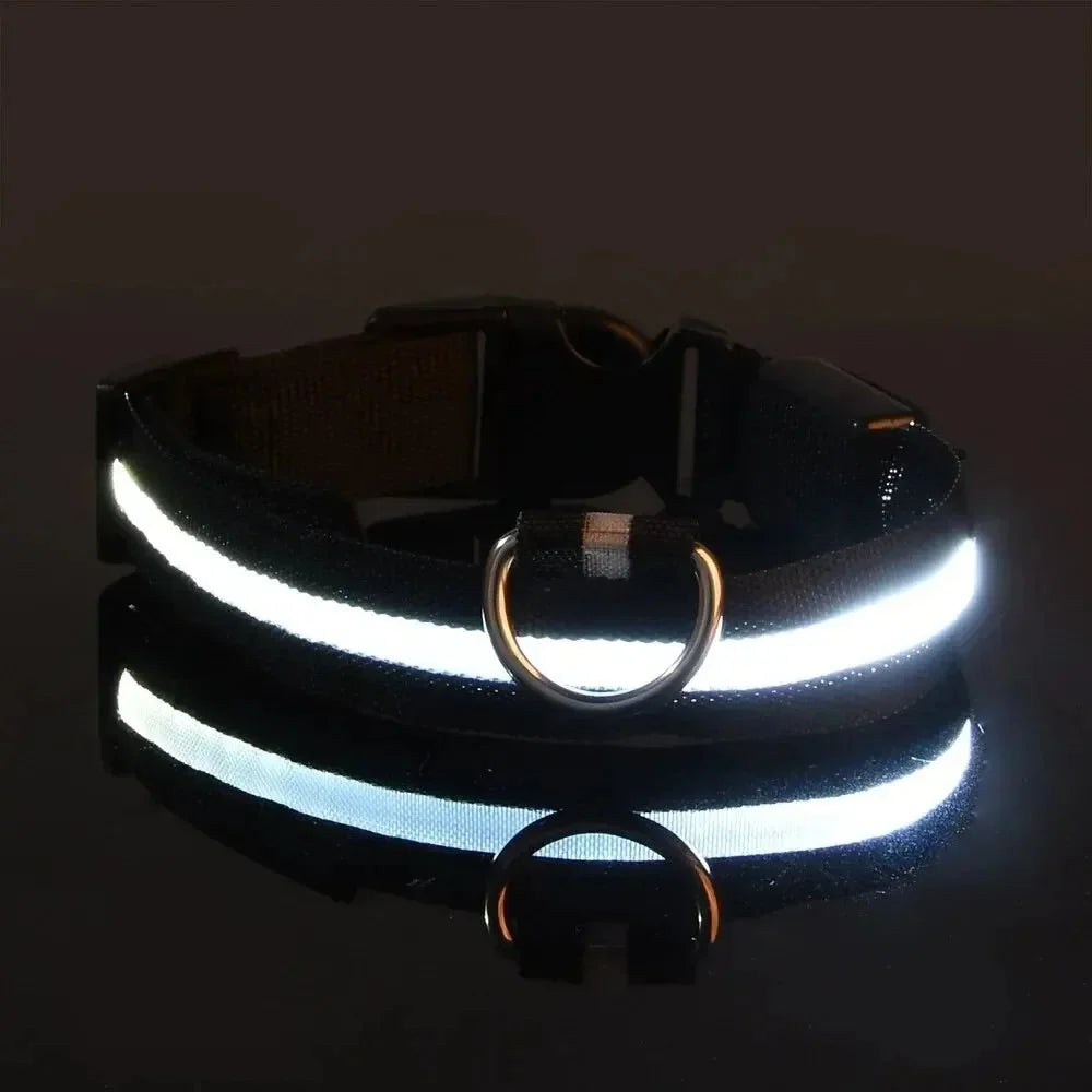 Dog Collar 360° LED Reflective Adjustable Nylon