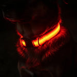 Dog Collar 360° LED Reflective Adjustable Nylon