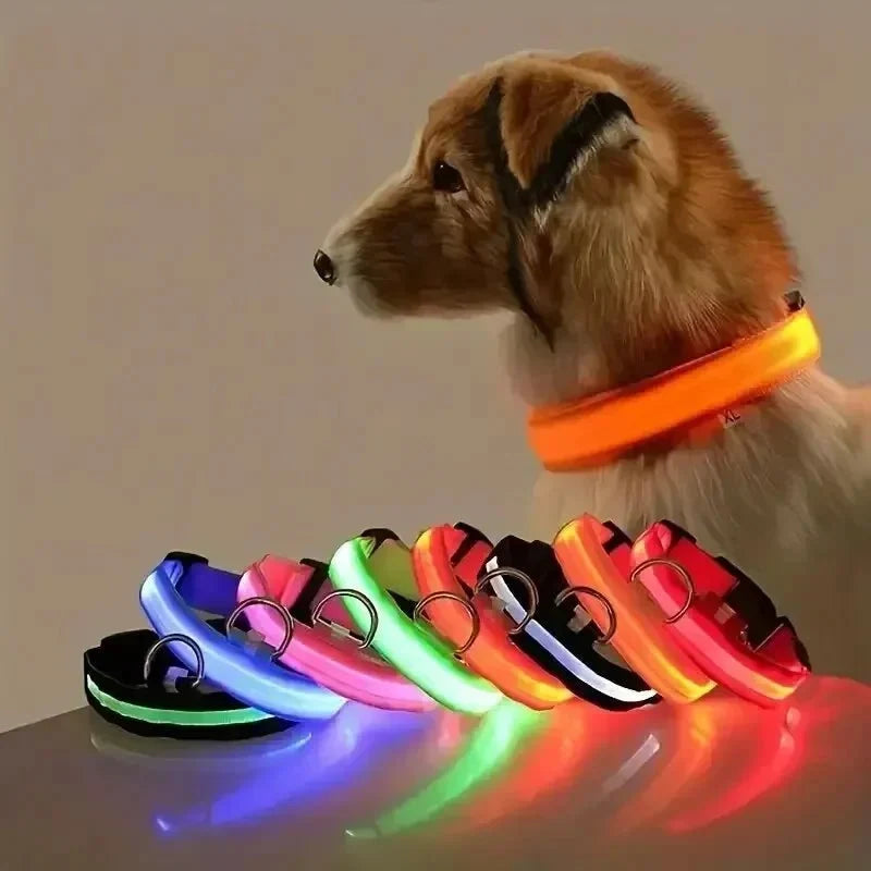 Dog Collar 360° LED Reflective Adjustable Nylon