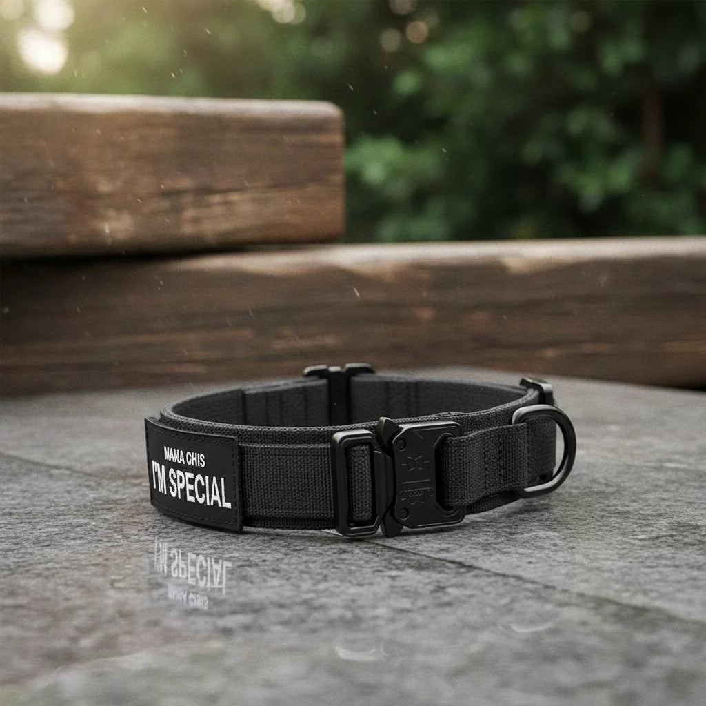 Dog Collar Nylon Padded Adjustable Control Handle