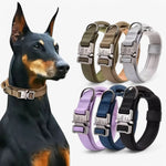 Dog Collar Nylon Padded Adjustable Control Handle