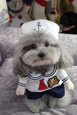 Dog Costume Cotton Assorted Designs Sizes S–XL