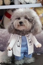 Dog Costume Cotton Assorted Designs Sizes S–XL