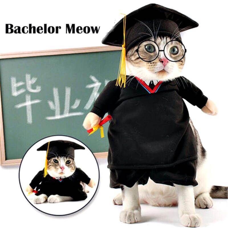 Dog Costume Professor Outfit Breathable Cotton-Polyester Fabric