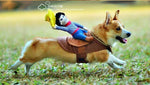 Dog Costume Riding Horse Design Brown