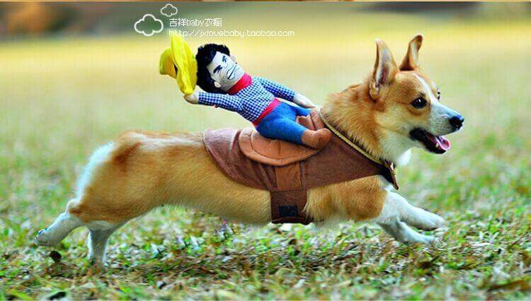 Dog Costume Riding Horse Design Brown