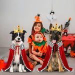 Dog Costume Royal Cape & Crown Adjustable Fit