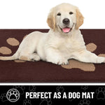 Dog Door Mat Absorbent & Non-Slip