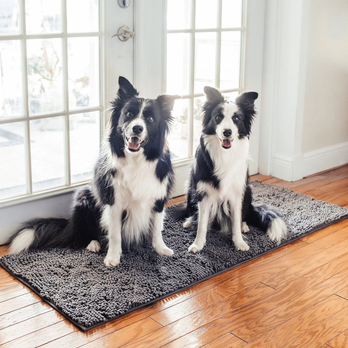 Dog Door Mat Absorbent Non-Slip Muddy Paw Protection