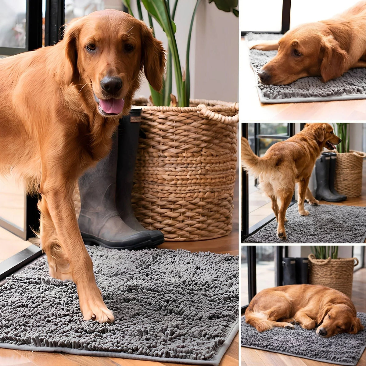 Dog Door Mat Absorbent Non-Slip Muddy Paw Protection