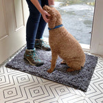 Dog Door Mat Absorbent Non-Slip for Muddy Paws