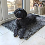 Dog Door Mat Absorbent Non-Slip for Muddy Paws
