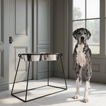 Dog Feeder Elevated Double Bowl Stainless Steel Bowls