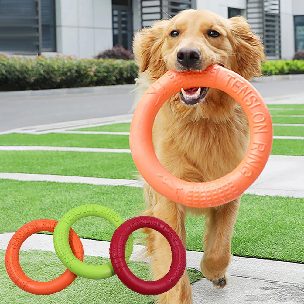 Dog Flying Disc EVA Interactive Fetch Toy