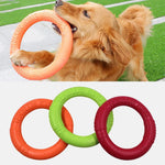 Dog Flying Disc EVA Interactive Fetch Toy