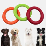 Dog Flying Disc EVA Interactive Fetch Toy