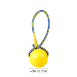 Dog Frisbee Floating Soft & Flexible