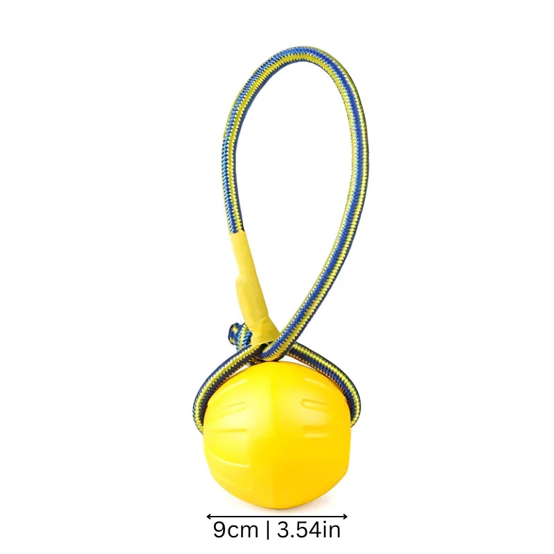 Dog Frisbee Floating Soft & Flexible