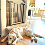 Dog Gate Hardwood & Steel Auto-Close Walk-Through