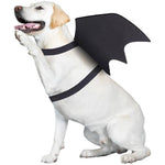 Dog Halloween Costume Felt Bat Wings Adjustable Fit Pumpkin Bell