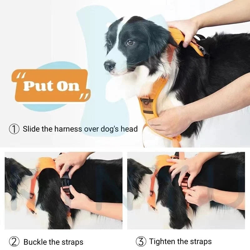 Dog Harness & Leash Adjustable No-Pull Nylon