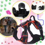 Dog Harness No-Pull LED Lights USB-C Rechargeable