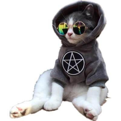 Dog Hoodie 100% Cotton Fall & Winter Wear