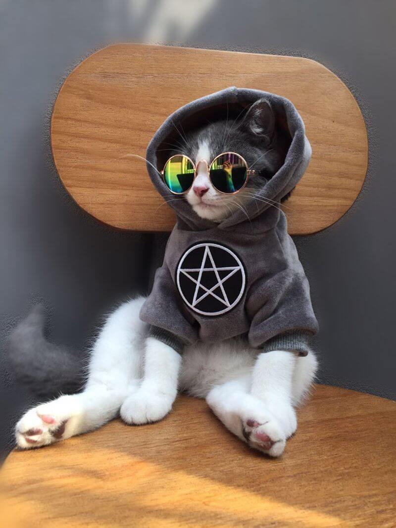 Dog Hoodie 100% Cotton Fall & Winter Wear