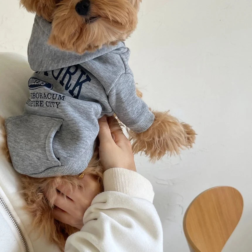 Dog Hoodie Cotton Fleece Lightweight Pullover With Stretch Cuffs