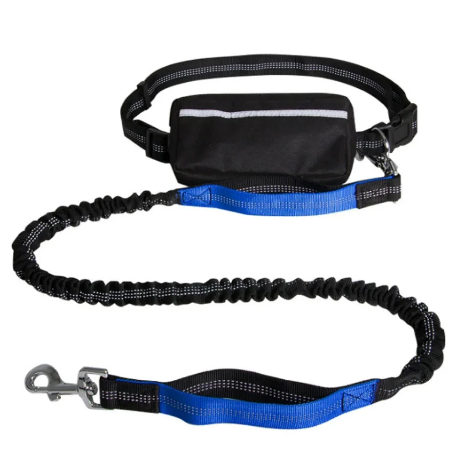 Dog Leash Hands-Free Bungee Dual Shock Absorbers