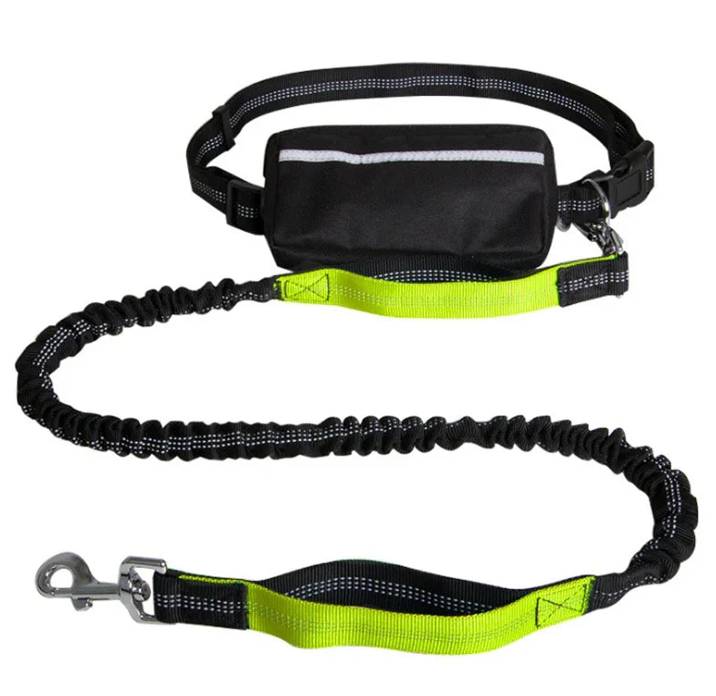 Dog Leash Hands-Free Bungee Dual Shock Absorbers