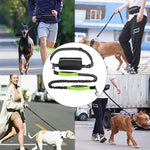 Dog Leash Hands-Free Bungee Dual Shock Absorbers