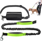 Dog Leash Hands-Free Bungee Dual Shock Absorbers