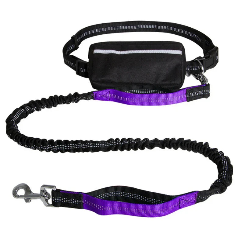 Dog Leash Hands-Free Bungee Dual Shock Absorbers