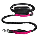 Dog Leash Hands-Free Bungee Dual Shock Absorbers