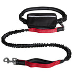Dog Leash Hands-Free Bungee Dual Shock Absorbers