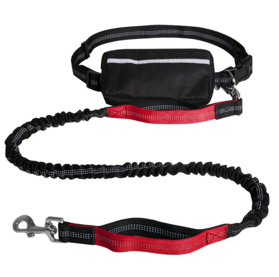 Dog Leash Hands-Free Bungee Dual Shock Absorbers