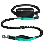 Dog Leash Hands-Free Bungee Dual Shock Absorbers