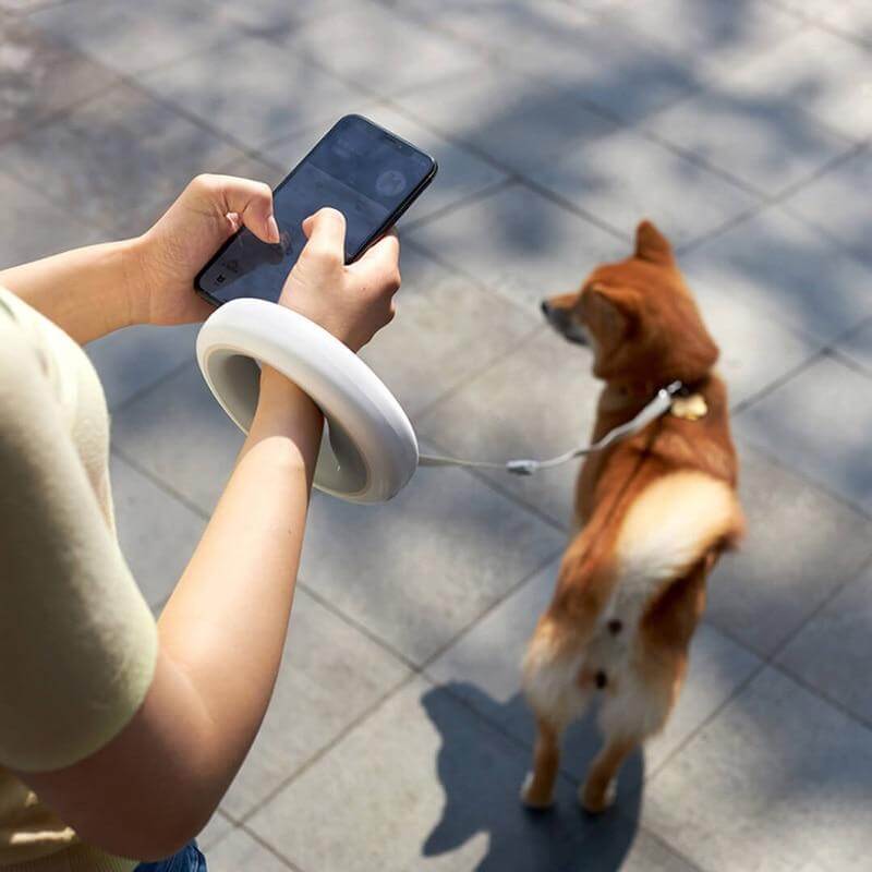 Dog Leash LED Light Adjustable Elastic Rope
