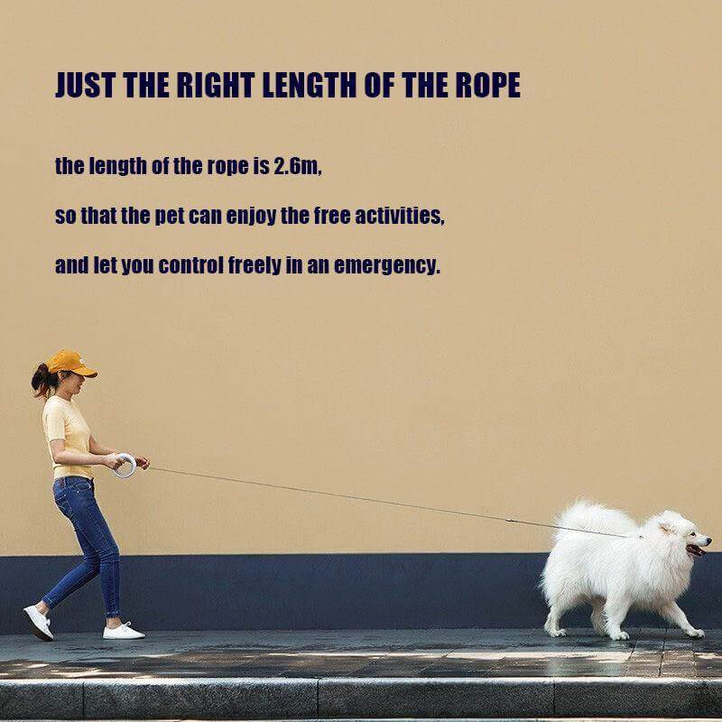 Dog Leash LED Light Adjustable Elastic Rope