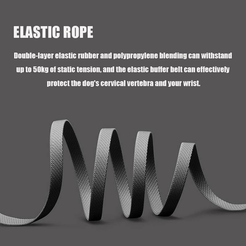 Dog Leash LED Light Adjustable Elastic Rope