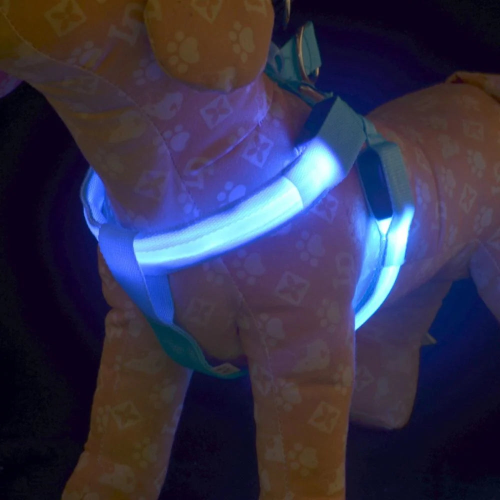 Dog Leash LED Light-Up Nylon Flashing Visibility