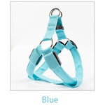 Dog Leash LED Light-Up Nylon Flashing Visibility
